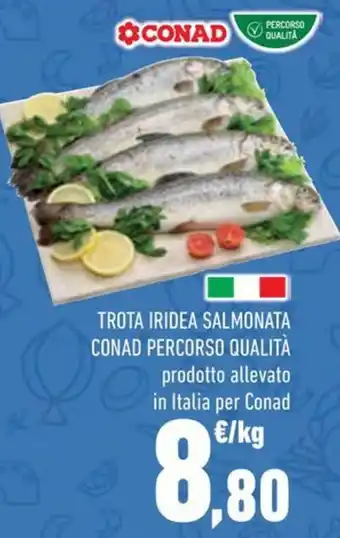 Conad TROTA IRIDEA SALMONATA CONAD PERCORSO QUALITÀ prodotto allevato in Italia per Conad offerta