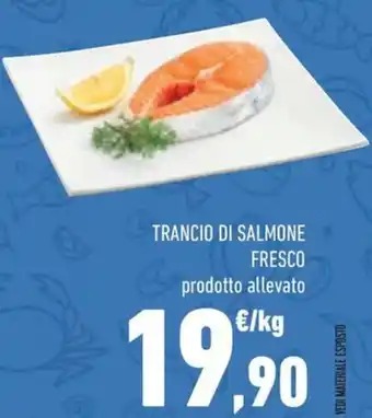 Conad TRANCIO DI SALMONE FRESCO prodotto allevato offerta