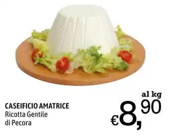 A&O CASEIFICIO AMATRICE Ricotta Gentile di Pecora offerta