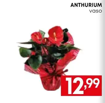 ANTHURIUM vaso