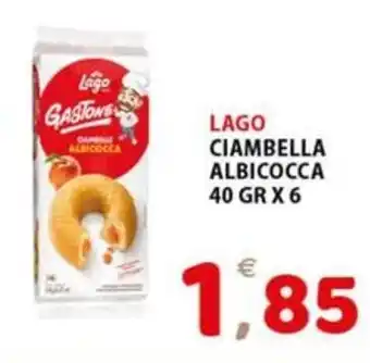 Premium Supermercati LAGO CIAMBELLA ALBICOCCA 40 GR X 6 offerta
