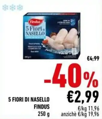 Conad City Findus 5 Fiori di Nasello 250g offerta