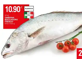 OMBRINA BOCCADORO FRESCA* 600/1000 g