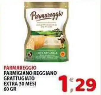 Mio Market PARMAREGGIO PARMIGIANO REGGIANO GRATTUGIATO EXTRA 30 MESI 60 GR offerta