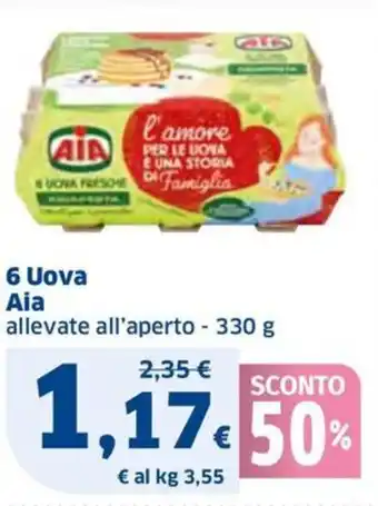 Ok Sigma 6 Uova Aia allevate all'aperto - 330 g offerta