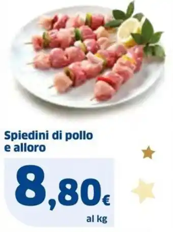 Ok Sigma Spiedini di pollo e alloro offerta