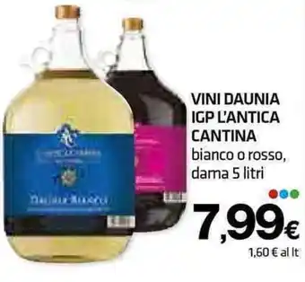 Superconti VINI DAUNIA IGP L'ANTICA CANTINA bianco o rosso, dama 5 litri offerta