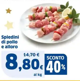 Sigma Spiedini di pollo e alloro offerta