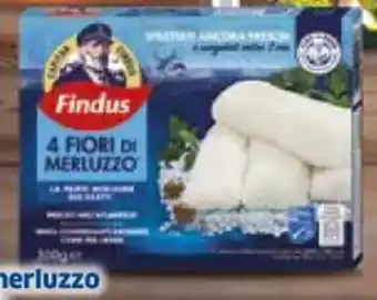Sigma Fiori merluzzo Findus surgelati - 4 pz/300 g offerta