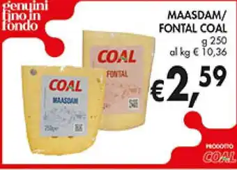 MAASDAM/ FONTAL COAL g 250
