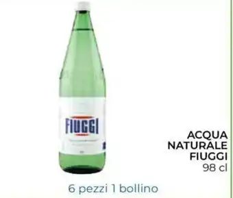 Fiuggi Acqua Naturale 98cl