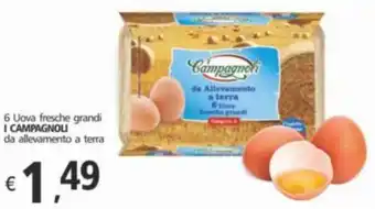 Alter Discount 6 Uova fresche grandi I CAMPAGNOLI da allevamento a terra offerta