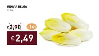 INDIVIA BELGA