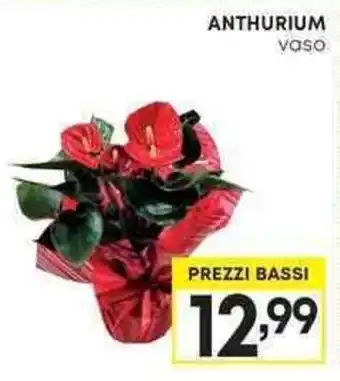 Pam ANTHURIUM vaso offerta