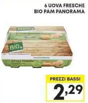 Pam 6 UOVA FRESCHE BIO PAM PANORAMA offerta
