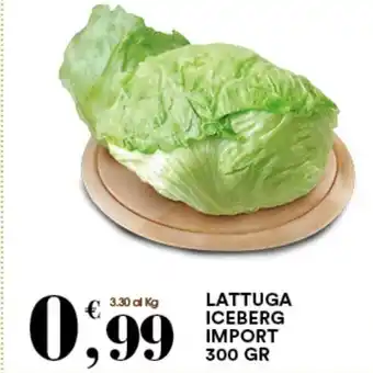 Gecop LATTUGA ICEBERG IMPORT 300 GR offerta