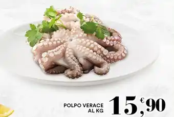 Gecop POLPO VERACE AL KG offerta