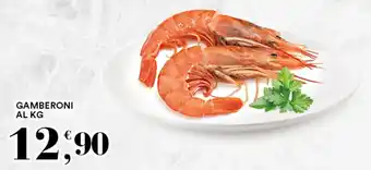 Gecop GAMBERONI AL KG offerta