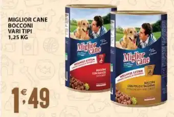 Sisa MIGLIOR CANE BOCCONI VARI TIPI 1,25 KG offerta