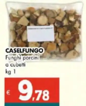 Altasfera CASELFUNGO Funghi porcini a cubetti kg 1 offerta