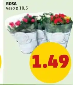 PENNY ROSA vaso ø 10,5 offerta