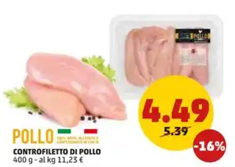 PENNY CONTROFILETTO DI POLLO 400 g offerta