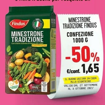 Conad Findus Minestrone offerta