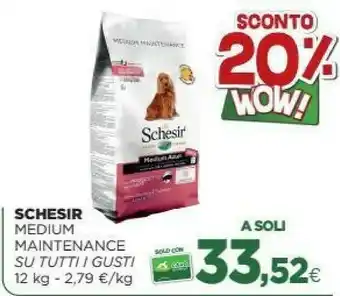 L´Isola dei Tesori Schesir Medium Maintenance Su Tutti I Gusti offerta