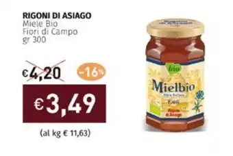 Prezzemolo e Vitale RIGONI DI ASIAGO Miele Bio Fiori di Campo gr 300 offerta