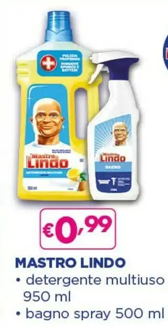 Acqua & Sapone Mastro lindo Detergente Multiuso 950 Ml offerta