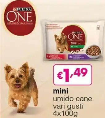 Acqua & Sapone Purina Mini Umido Cane offerta