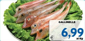DEM Pesce offerta
