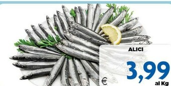 DEM Alici offerta