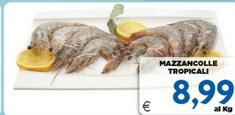 DEM Mazzancolle offerta