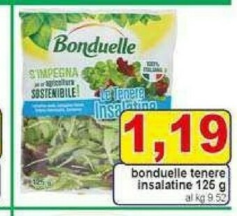 Gros Bonduelle Insalata offerta