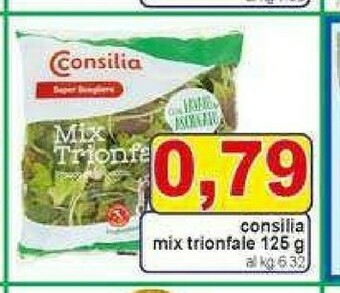 Gros Consilia Insalata offerta