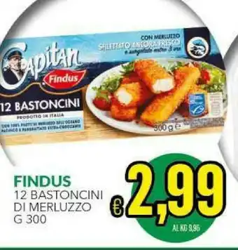 Iper Triscount Findus Bastoncini offerta