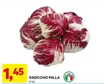 DPiù RADICCHIO PALLA offerta