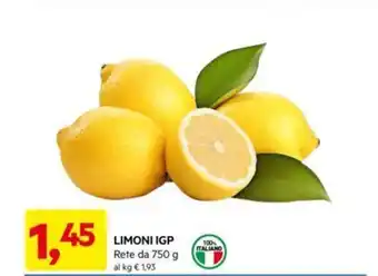 DPiù LIMONI IGP Rete da 750 g offerta