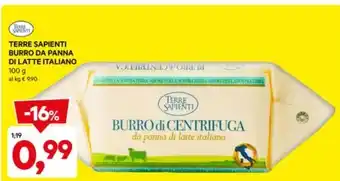 DPiù TERRE SAPIENTI BURRO DA PANNA DI LATTE ITALIANO 100 g offerta