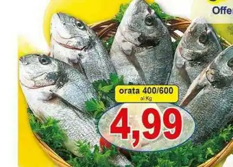 Gros Orata offerta