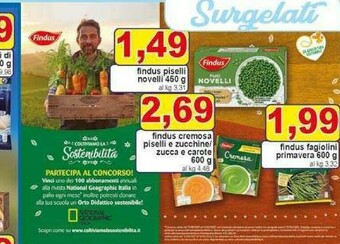 Gros Findus Piselli offerta