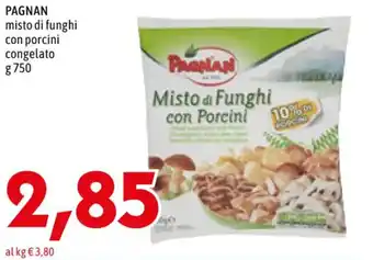PAGNAN misto di funghi con porcini congelato g 750