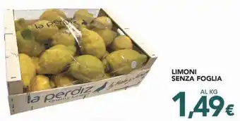 Altasfera LIMONI SENZA FOGLIA offerta