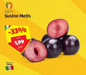 ALDI Susine Metis offerta