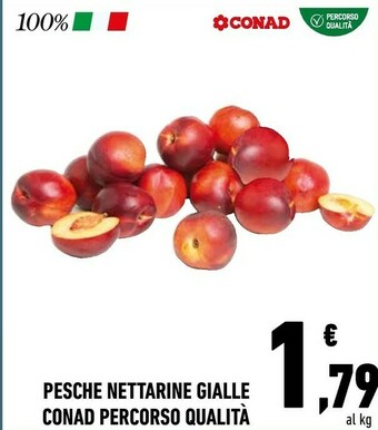 Conad Conad Pesche Nettarine Gialle Percorso Qualita offerta