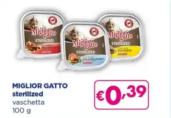 Acqua & Sapone Miglior Gatto Sterilized Vaschetta offerta