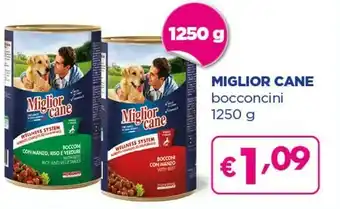 Acqua & Sapone Miglior Cane Bocconcini offerta
