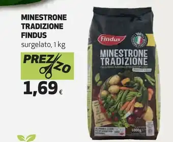 Ipercoop Findus Minestrone offerta