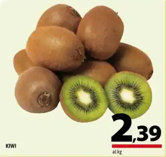A&O KIWI offerta